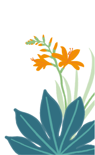 Illustration fleurs