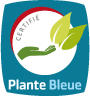 Plante Bleue